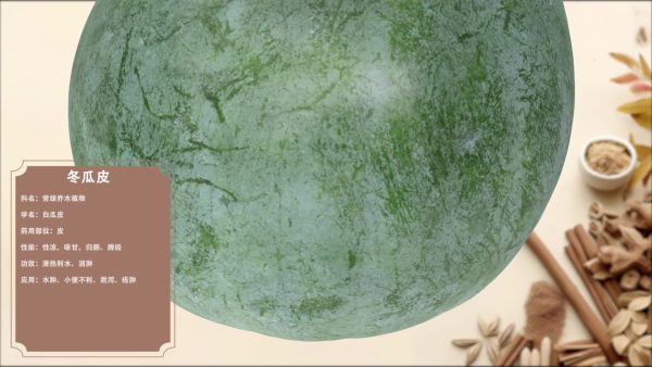冬瓜皮
