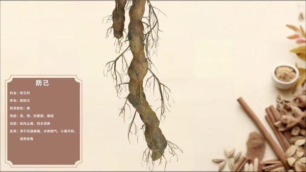 防己