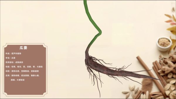 瓜蒌